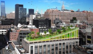 Building to feature stunning natural biotope in Manhattan